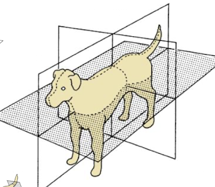 <p>What plane is being shown?</p>