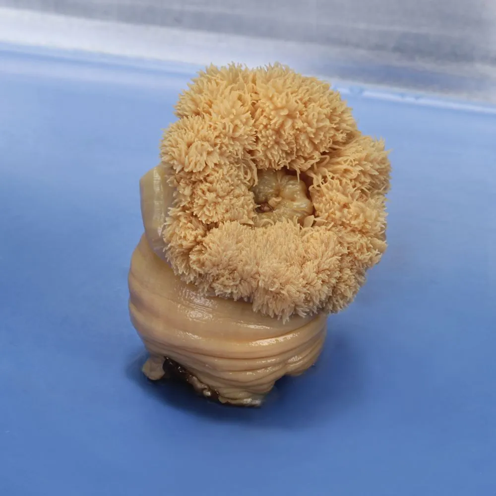 <p>What is this and how could you tell?</p>