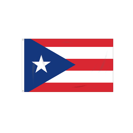 <p>Puerto Rican </p>