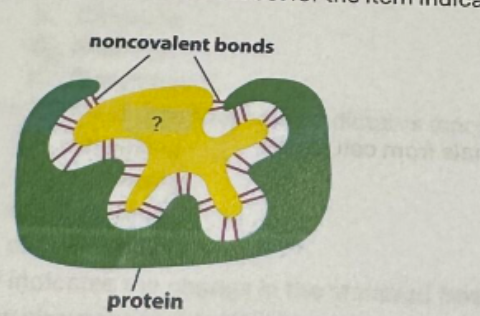<p>What should be the label for the item indicated by the question mark?</p>