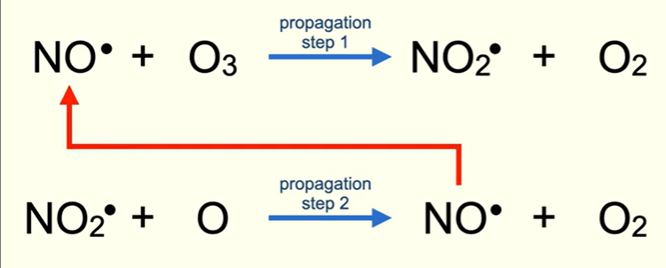 <p>The nitrogen monoxide radical reacts with ozone to produce the nitrogen dioxide radical plus an oxygen molecule</p><p>The nitrogen dioxide radical then reacts with oxygen radical , forms another nitrogen monoxide radical plus an oxygen  molecule</p><p>This takes place in a cycle.</p>