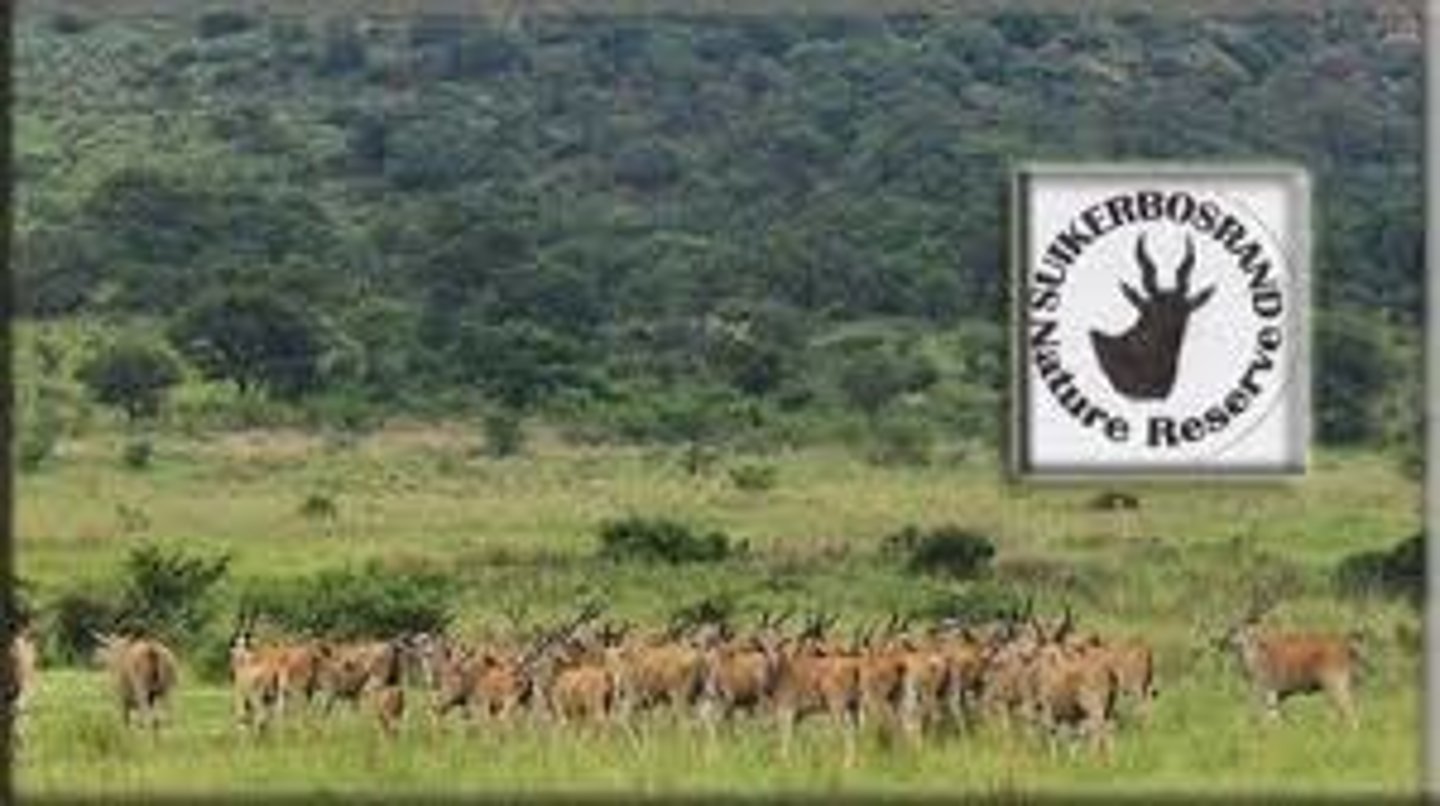 <p>TRANSLATION: природные заповедники</p><p>DEFINITION: large protected areas where animals live freely in their natural habitat</p><p>EXAMPLE: ........................ are much larger than zoos and allow animals to roam. ПРИРОДНЫЕ ЗАПОВЕДНИКИ намного больше зоопарков и позволяют животным бродить.</p>