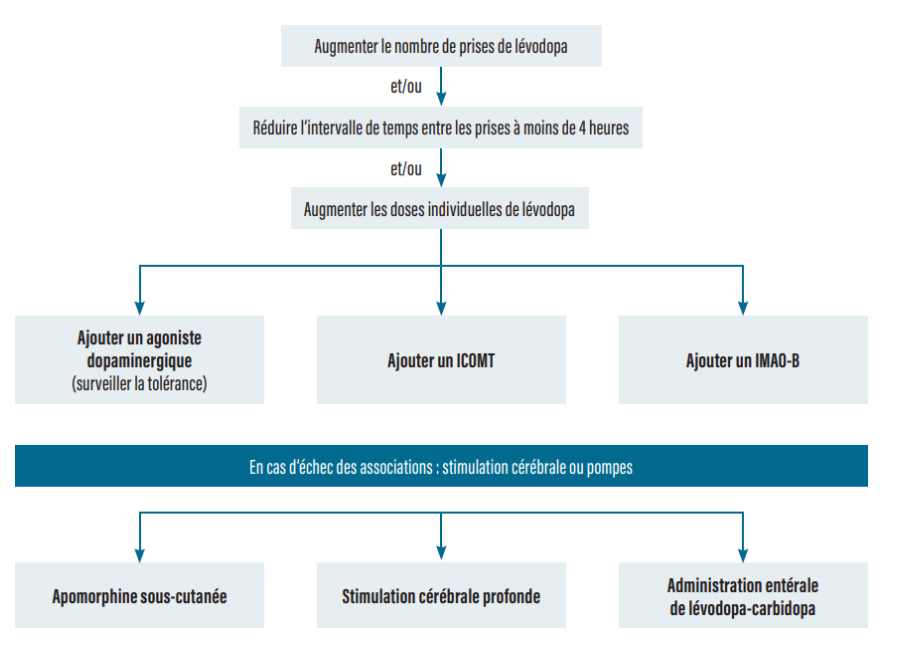 <p><span style="color: green;">On commence par L-DOPA </span></p><ul><li><p>Association L-DOPA + Carbidopa</p><ul><li><p>Réduire effets périphériques</p></li><li><p>L-DOPA passe la BHE</p></li><li><p>Augmenter les concentrations dans le cerveau</p></li><li><p>Réduire la dose minimale efficace</p></li></ul></li></ul><div data-type="horizontalRule"><hr></div><p>SI INSUFFISANT, on rajoute:</p><ul data-type="taskList"><li data-checked="false" data-type="taskItem"><label><input type="checkbox"><span></span></label><div><p>Agoniste DOPA</p></div></li><li data-checked="false" data-type="taskItem"><label><input type="checkbox"><span></span></label><div><p>IMAO-B</p></div></li><li data-checked="false" data-type="taskItem"><label><input type="checkbox"><span></span></label><div><p>I-COMT</p></div></li></ul><p></p>