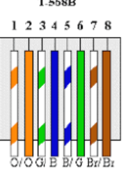 <p>orange white, orange, green white, blue, blue white, green, brown white, brown</p>