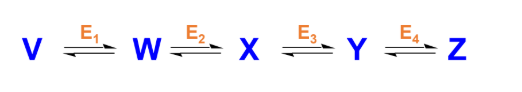 <p><strong><u>Enzymes in Metabolic Pathways </u></strong></p><p>________: Enzymes in a pathway can <strong>function to </strong><span style="color: blue;"><strong>breakdown </strong></span><strong>biomolecules and release energy.</strong></p><ul><li><p>Eg. The steps involved in the breakdown of glucose to lactate. </p></li></ul><p></p>
