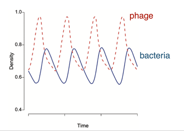 <p>Both species must <strong>constantly adapt</strong> each other (like Red Queen hypothesis)</p>