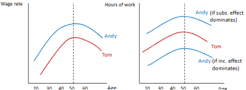 <p>Andy earns more than Tom.</p><p>> If the substitution effect dominates, Andy will work more hours at a higher wage</p><p>> If the income effect dominates, Andy will work fewer hours at a higher wage </p>
