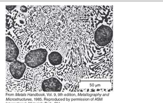 <p>zebra like structure</p>