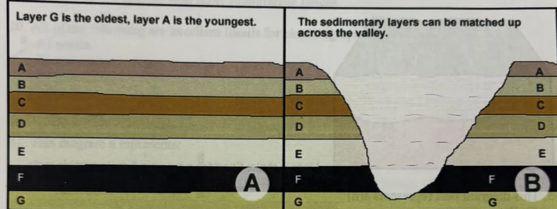 <p>in the chart, image A is best explained by: </p><p>a. principle of superposition </p><p>b. principle of horizontality </p><p>c. principle of lateral continuity </p><p>d. principle of inclusion </p>