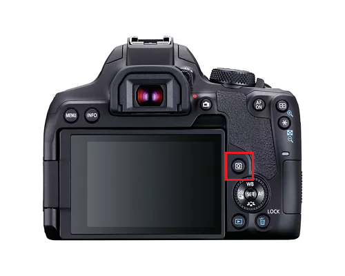 term image