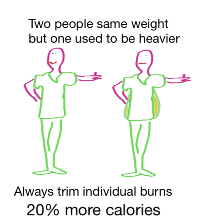 <p>A hormone known as <em>Leptin </em>made by white adipose tissue (white fat cells) informs cells with Leptin receptors of how much fat is present/available in their body. </p><p>Fat cells seem to behave differently after a large enough gain of weight to be considered obesity.</p>