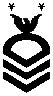<p>Two silver stars above one eagle above one rocker above three chevrons</p>