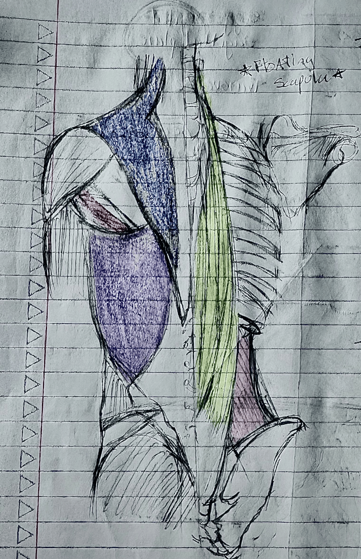 <p>Purple</p>