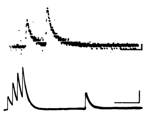 <p>true, it involves more than summation of post synaptic potentials, it involves presynaptic facilitation/paired-pulse facilitation</p>