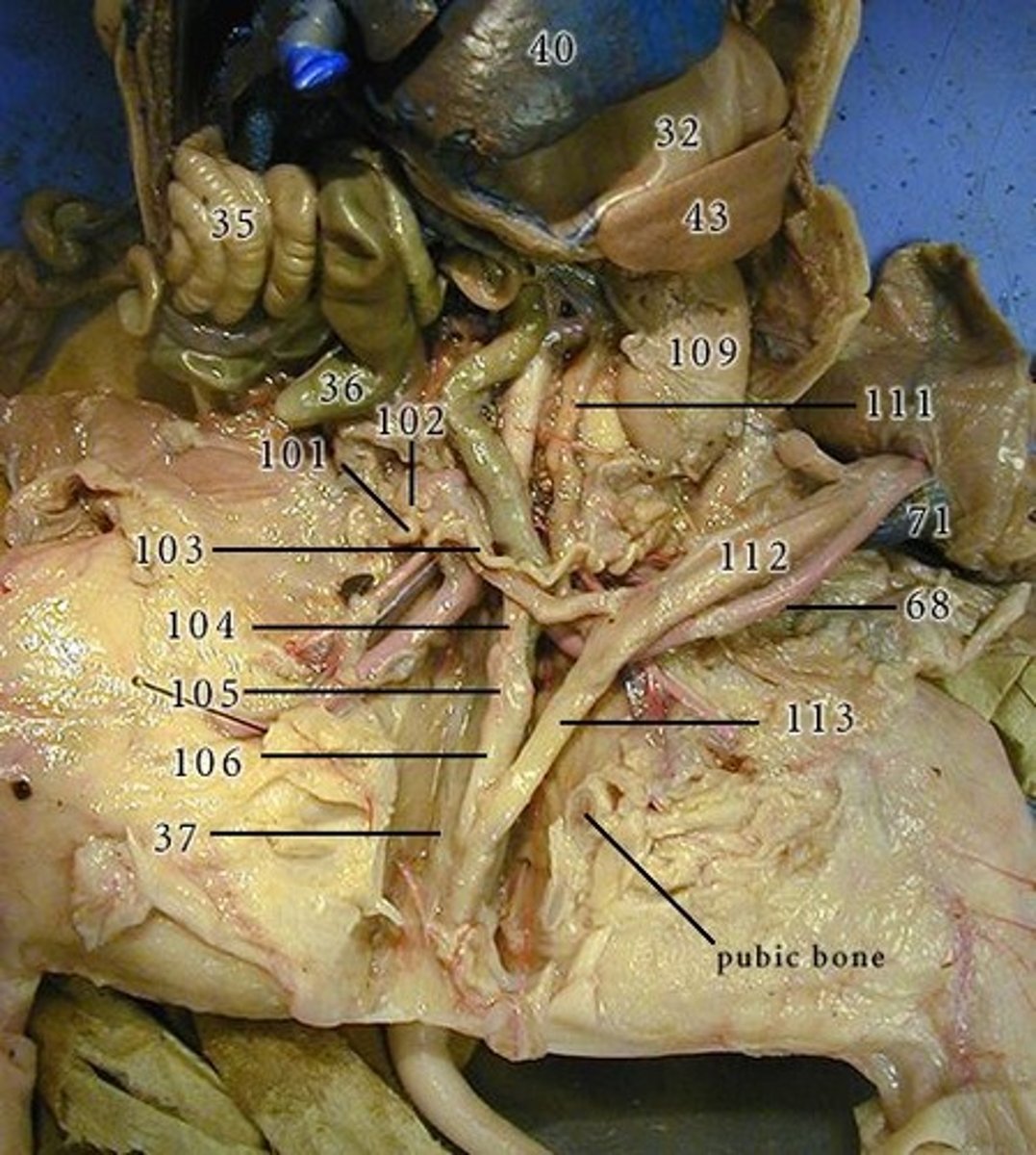<p>101 = ?</p>