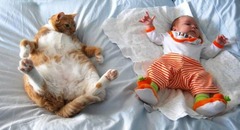 <p>(v.) to make pretense of, imitate; to show the outer signs of</p><p>Synonyms: pretend, affect</p>