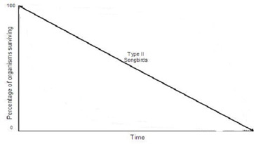<p>intermediate, a straight line down</p>