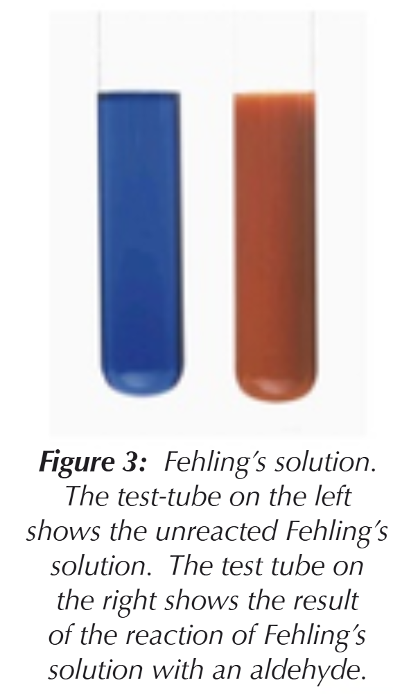 <ul><li><p>Reduced to Cu<sup>+</sup> ions</p></li><li><p>There is a colour change from a blue solution to a brick red precipitate</p></li></ul><p></p>