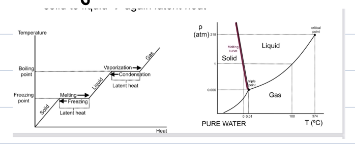 <p>seperates solid and liquid phases- </p><p>melting; solid → liquid </p><p>freezing; liquid → solid </p><p>also requires latent heat </p><p>water is unusual because ice expands when freezing, the melting curve has a negative slope, increasing pressure can melt ice which explains ice skating (thin water layer forms under skates due to pressure) </p>