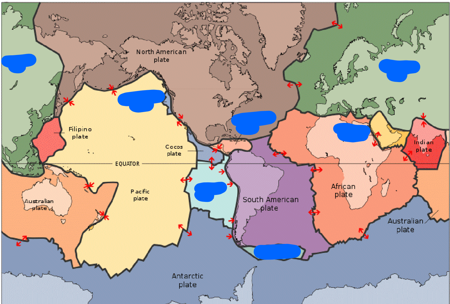 <p>Name the covered plates</p>