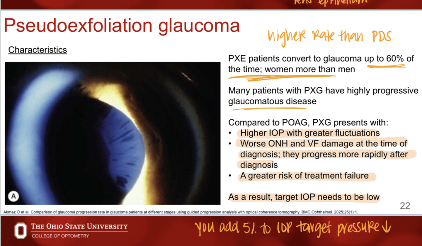 <p>Compared to POAG, PXG patients progress (faster/slower)</p>
