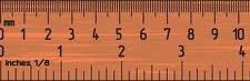 <p>a ruler</p>