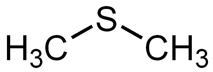 <p><strong>Sulfide</strong> (Thioether)(EX: Dimethyl sulfide, CH₃SCH₃)</p>