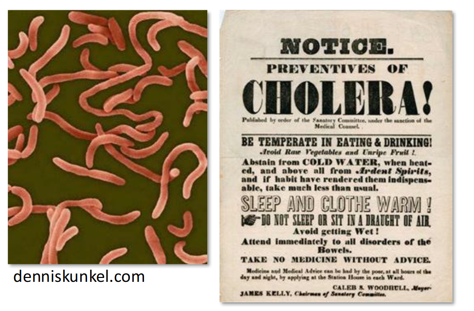 <ul><li><p><span>Caused by bacterium <strong>Vibrio cholerae</strong></span></p></li><li><p><span>Causes infection of small intestine, severe diarrhea, vomiting and dehydration</span></p></li><li><p><span>Transmission through contaminated food and water</span></p></li><li><p><span>Major worldwide epidemics throughout 19th and early 20th Century, ~50 million deaths over first 3 epidemics</span></p></li></ul><p></p>