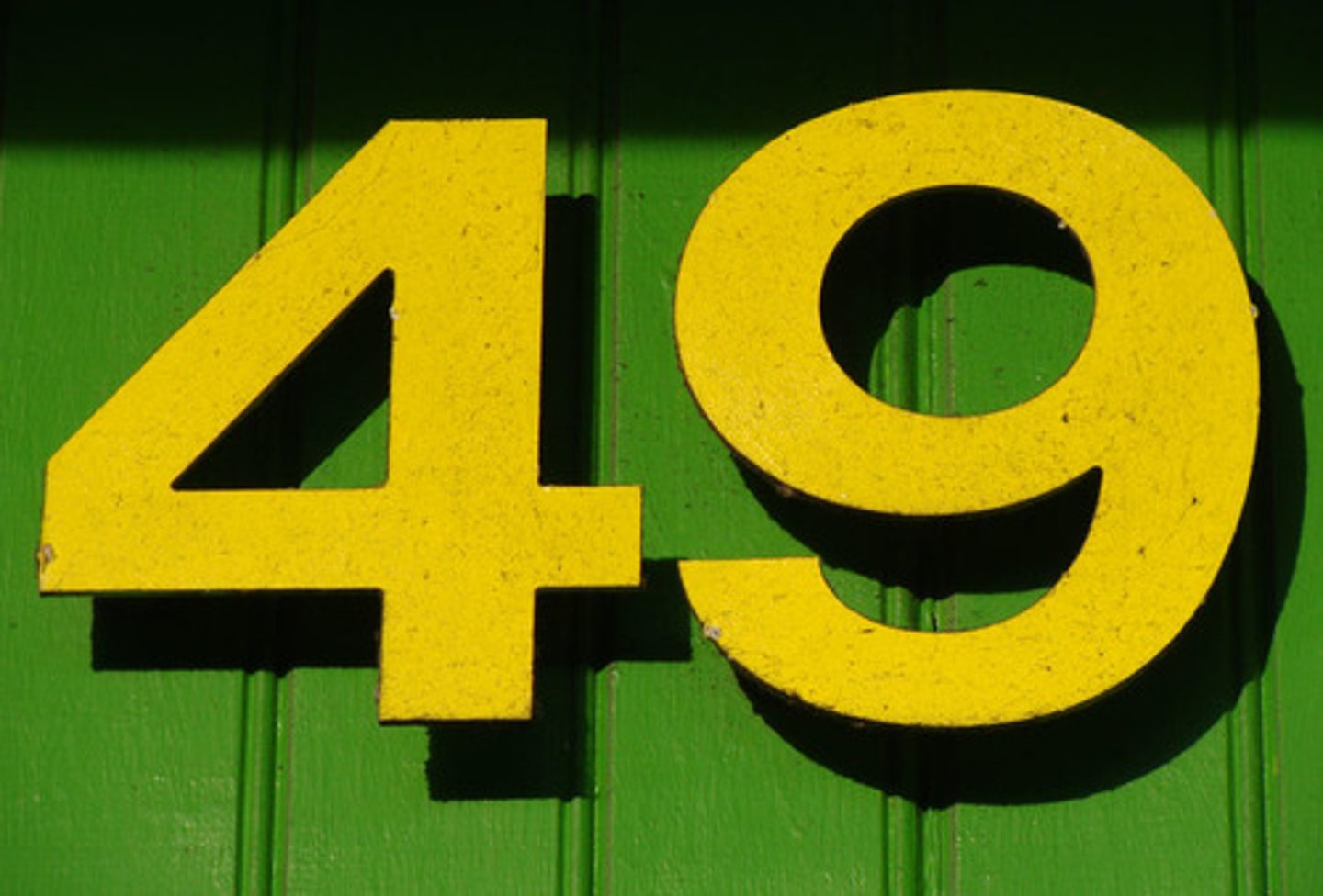 <p>49</p>