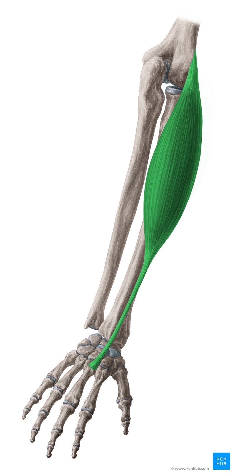 <p></p>