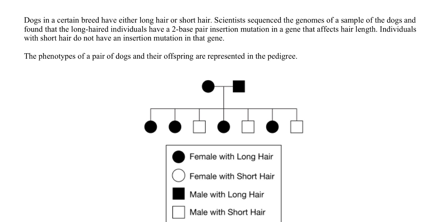 <p>Dogs in a certain breed have either long hair or short hair. Scientists sequenced the genomes of a sample of the dogs and found that the long-haired individuals have a 2-base pair insertion mutation in a gene that affects hair length. Individuals with short hair do not have an insertion mutation in that gene. The phenotypes of a pair of dogs and their offspring are represented in the pedigree.</p><p>Which of the following claims is best supported using the information provided?</p><p>(A) The phenotype for long hair is inherited as an autosomal recessive trait because there were fewer offspring with short hair than with long hair. </p><p>(B) The phenotype for long hair is inherited as an autosomal dominant trait because individuals must have two copies of the mutant allele to produce long hair. </p><p>(C) The phenotype for long hair is inherited as an autosomal dominant trait because one copy of the mutant allele is sufficient to produce long hair. </p><p>(D) The phenotype for long hair is inherited as an-linked recessive trait because only female offspring have long hair</p>