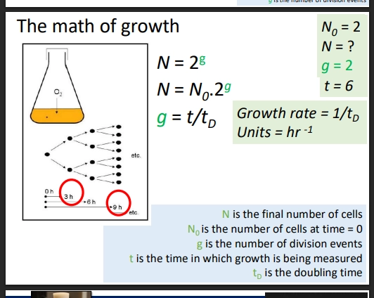 <p>(equation)</p><ul><li><p>use a new equation, ( g = t / tD )</p></li><li><p>tD is doubling time (time at which the final N doubled), t is the time now (time measured experimentally), g is number of generations / cell divison events</p></li></ul><p>(converting to growth rate)</p><ul><li><p>tD not referred to often, instead use growth rate (mu), in units of hr-1, by converting the calculated tD with another equation</p></li><li><p>( mu = 1/tD )</p></li><li><p>eg 0.33hr-1 = 0.33 generations of growth per hour</p></li></ul><p></p>