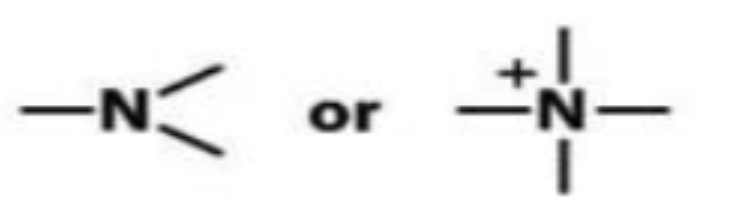 <p></p>