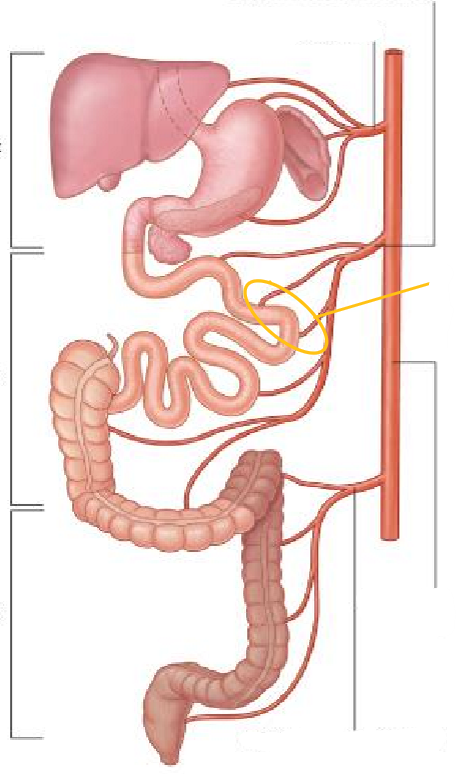 <p>Label the following diagram</p>