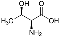<p>What is this amino acid and its codon?</p>