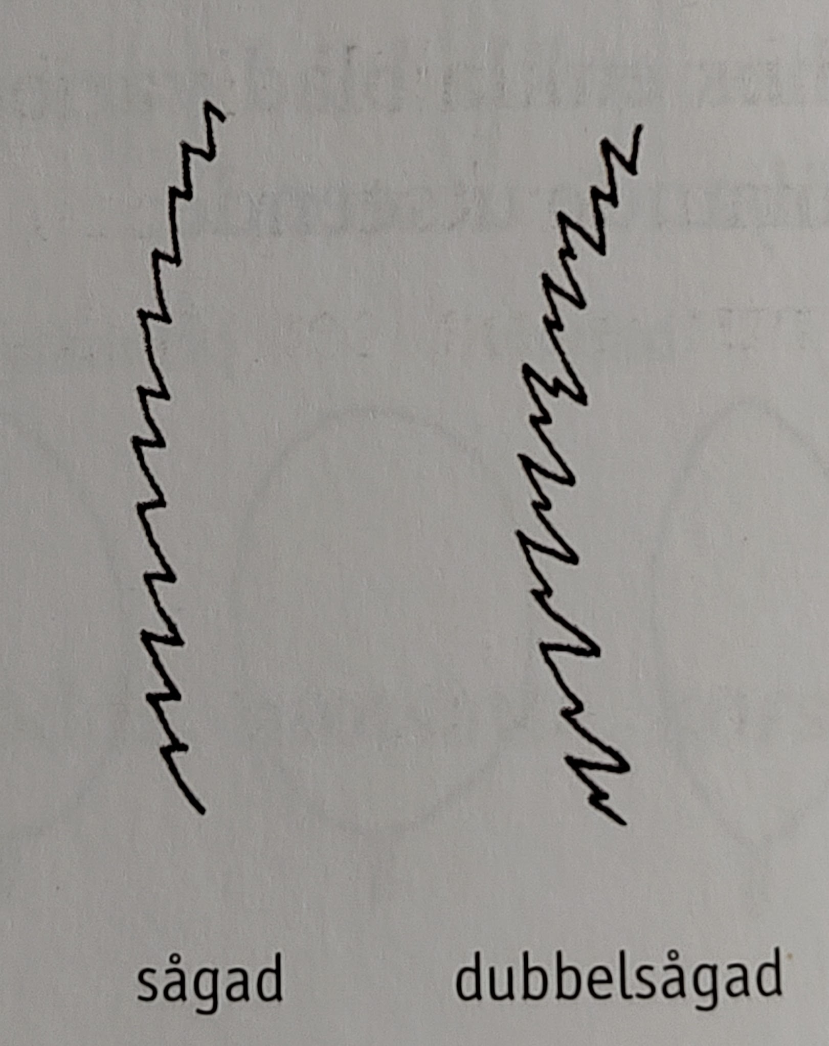 <p></p>