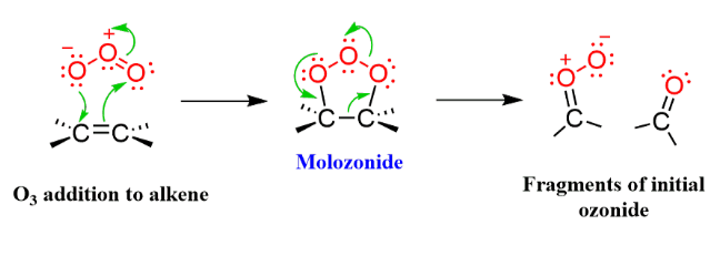 <p>Splits alkene in half and makes an aldehyde in its place, puts a double bonded oxygen at both ends</p>