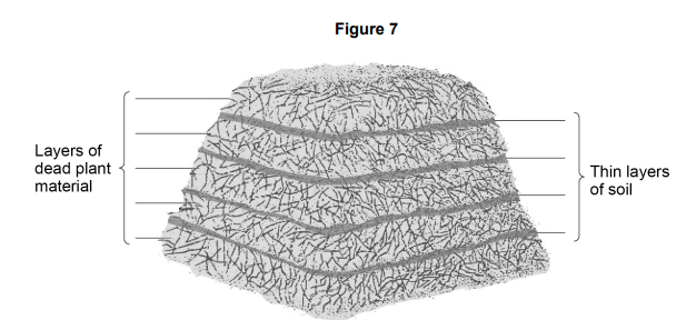 <p>Decay occurs in a compost heap.</p><p><strong>Figure 7</strong> shows a compost heap.</p><p>Describe: </p><ul><li><p>how microorganisms in the layers of soil help to recycle chemicals in the dead plants</p></li><li><p>how the chemicals are used again by living plants</p></li></ul><p>[6 marks]</p>