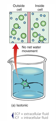 <p>Osmolarity of ECF and ICF are the same</p><p>No osmotic pressure so no net movement of fluid</p><p>No effect on cell</p>