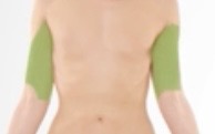 <p>Brachial</p>