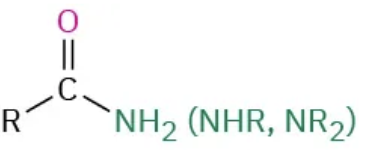 <p>-amide</p><p>substituent: -carboxamide</p>