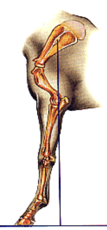 <p>what is this an image of</p>