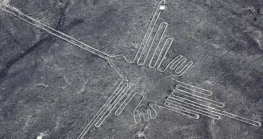 <p><span>Hummingbird, Nasca</span></p>