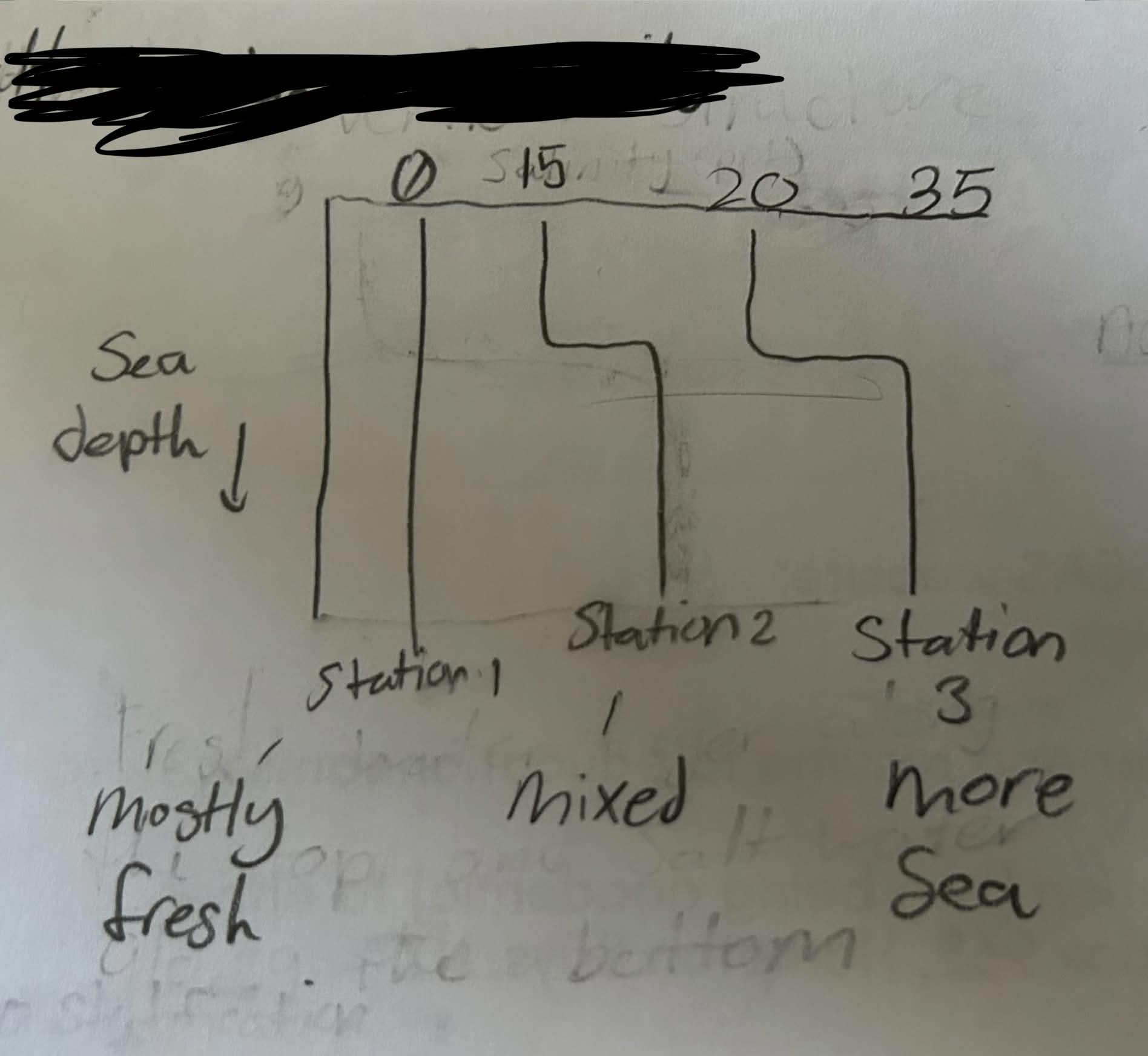 <p>one straight line, two sharp curves</p><p></p>