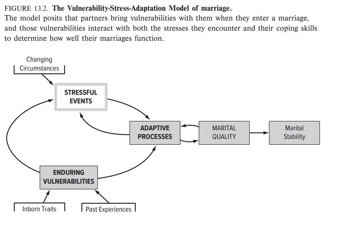 <p>highlights 3 influences that can contribute to divorce</p><ul><li><p>some ppl enter marriage w ENDURING VULNERABILITIES that increase their risk of divorce</p></li><li><p>the ADAPTIVE PROCESS w which ppl respond to stress</p></li><li><p>STRESSFUL EVENTS that require the partners to provide support to one another and to adjust to new circumstances</p></li></ul><p></p>