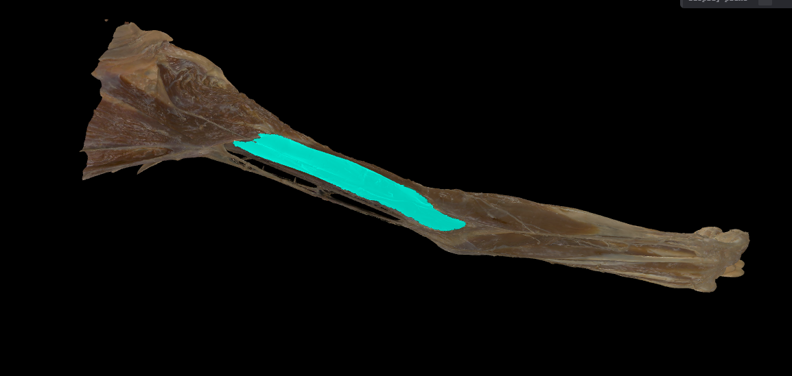 term image