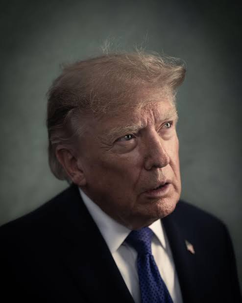 <p>Executive Branch</p>