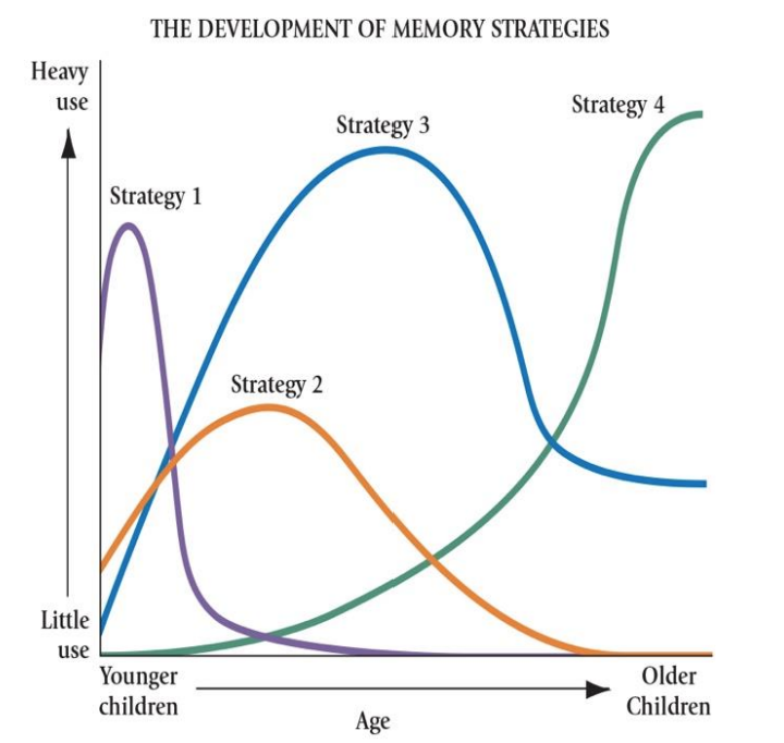 <p>Siegler’s Adaptive Strategy Choice Model</p>
