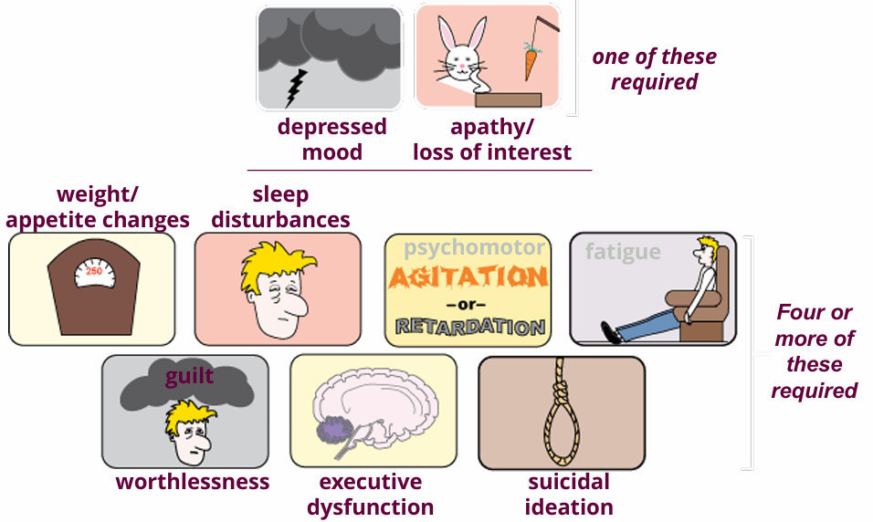 <p><span>Period characterized by symptoms of </span>major depressive disorder. For a diagnosis, a patient must present at least five total symptoms for a period of at least one wee<strong>k</strong>.</p><p></p>