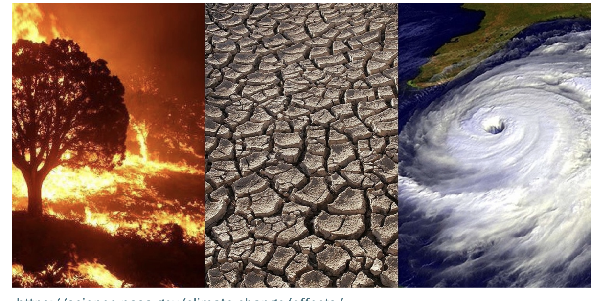 <ul><li><p>The frequency and severity of natural disasters are on the rise, exacerbated by anthropogenic climate change</p></li><li><p><span style="background-color: inherit; line-height: 19.55px; color: windowtext;">Speed up water cycle -> more powerful natural disasters</span><span style="line-height: 19.55px; color: windowtext;"> </span></p></li><li><p class="Paragraph SCXO264082443 BCX0" style="text-align: left;"><span style="background-color: inherit; line-height: 19.55px; color: windowtext;">Springs earlier -> area drier near end of summer -> more wildfires</span><span style="line-height: 19.55px; color: windowtext;"> </span></p></li></ul><p></p>